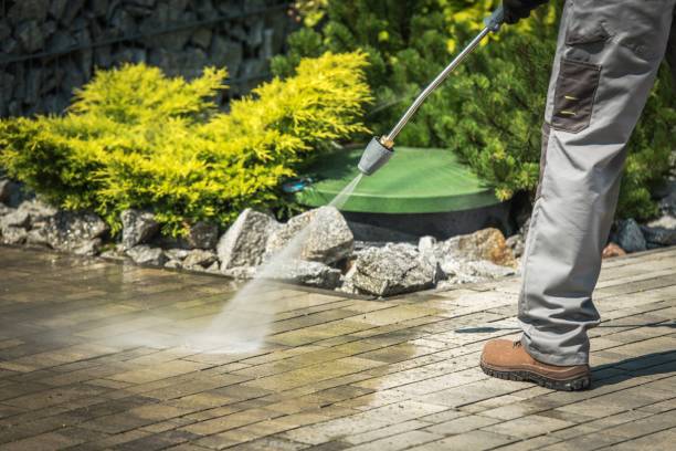 Trusted Vienna, VA Pressure Washing Services Experts